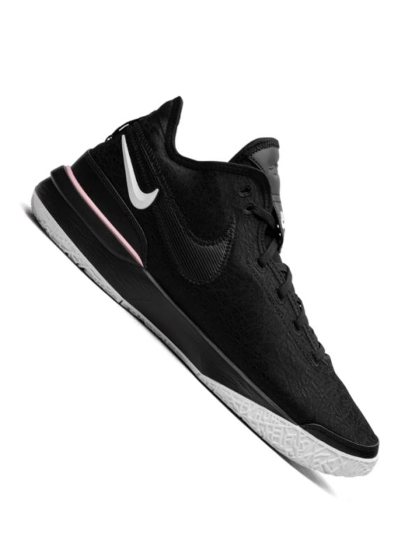 Zoom Lebron NXXT