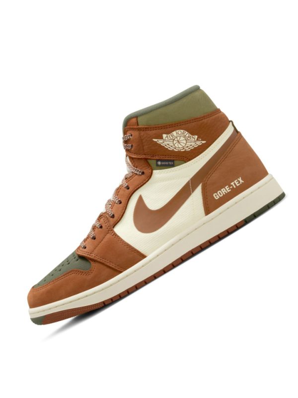 Air Jordan 1 Element Goretex