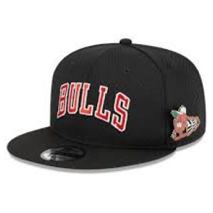 Chicago Bulls Pops Up