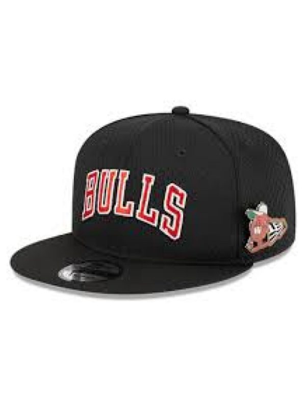 Chicago Bulls Pops Up