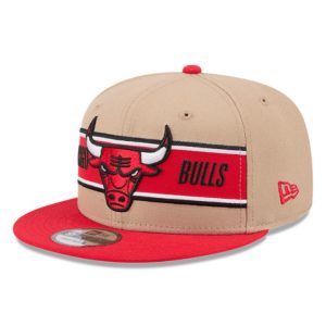 Chicago Bulls Draft