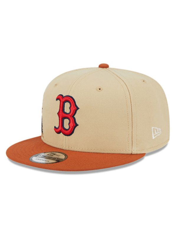 Boston Red sox fall