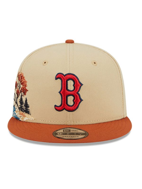 Boston Red sox fall
